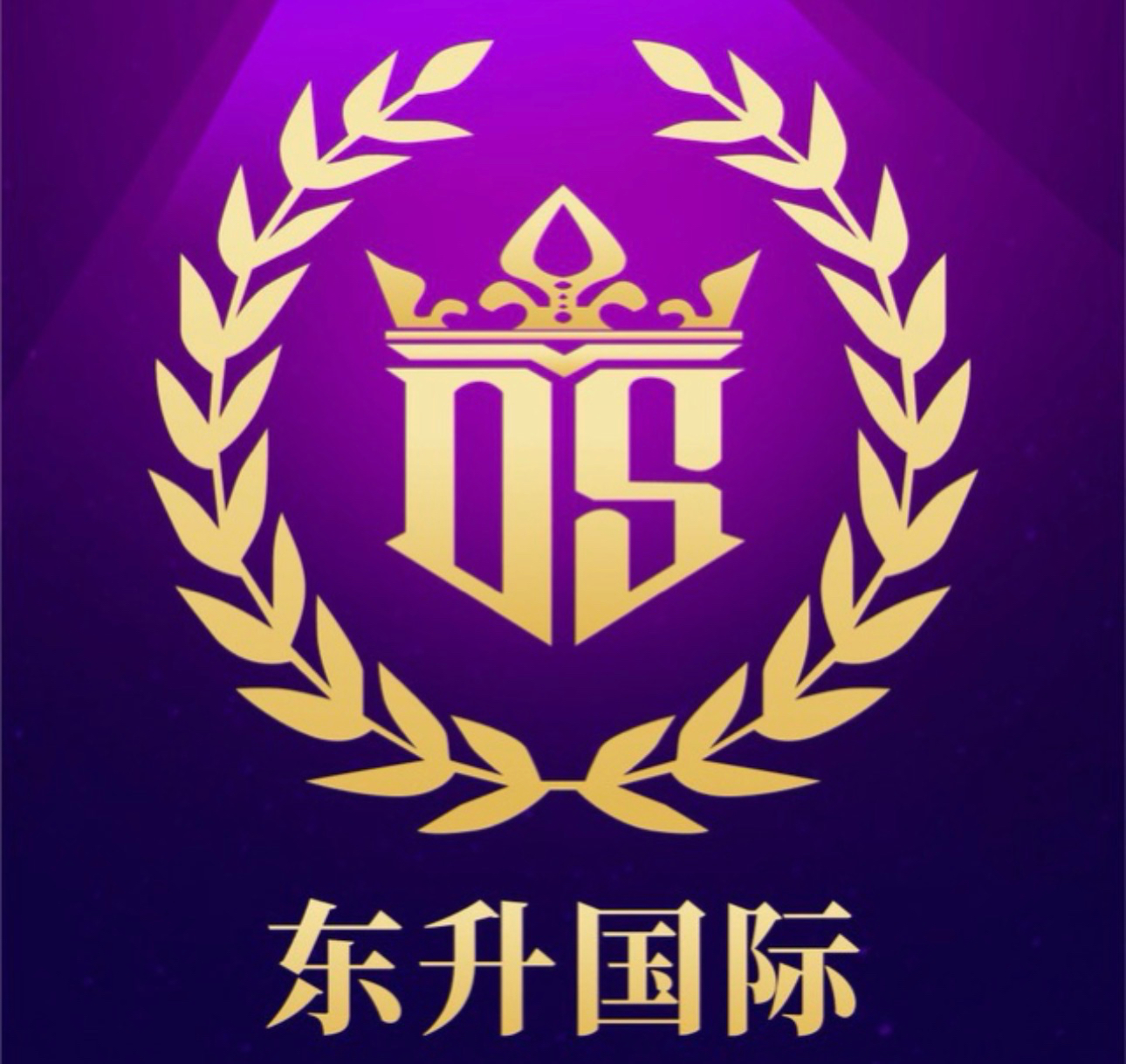 东升国际